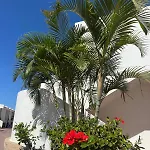 Malibu Park Lejlighedshotel