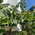 Apartmanhotel Malibu Park 3*